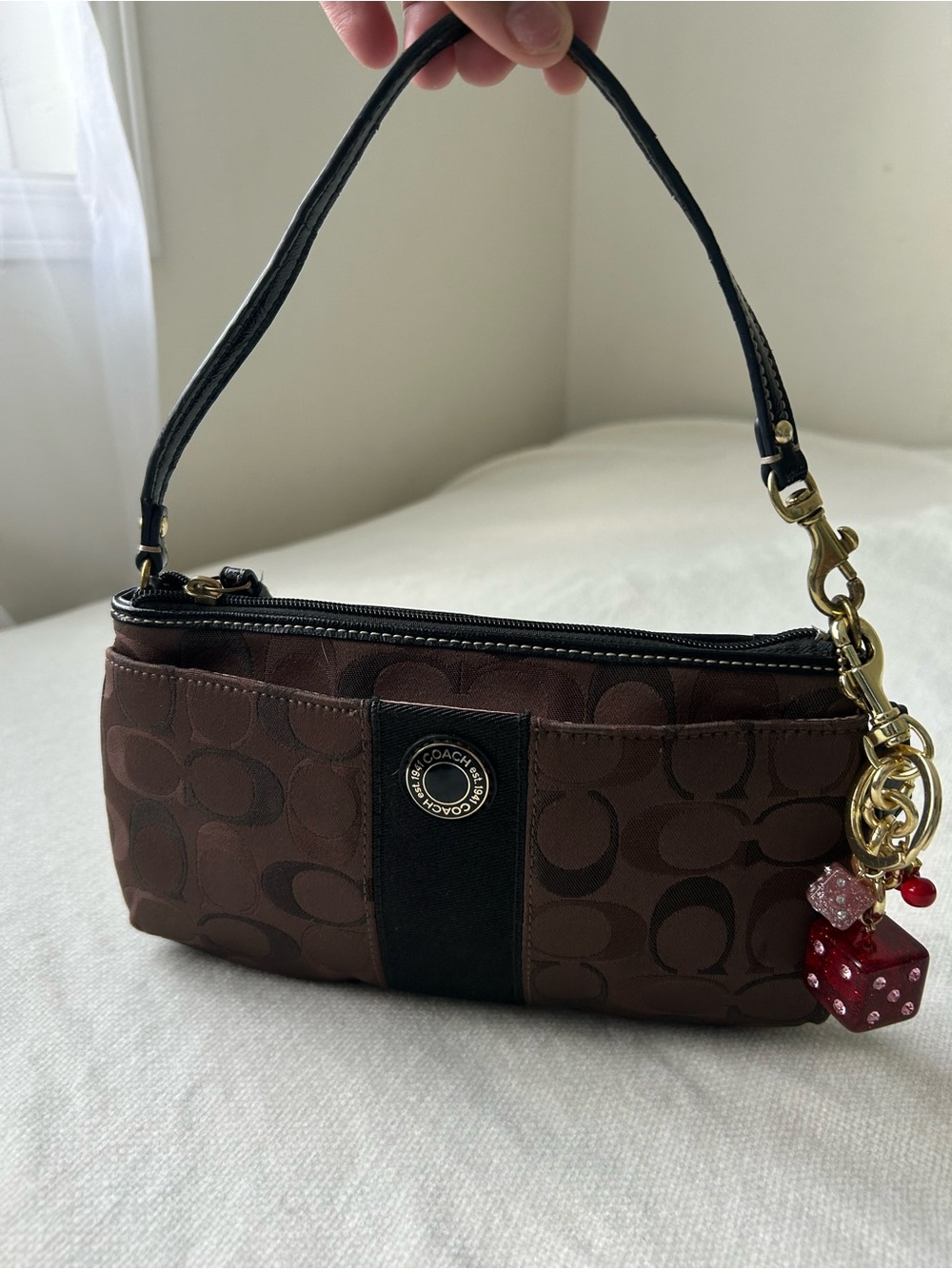 Brown Coach Mini🎲